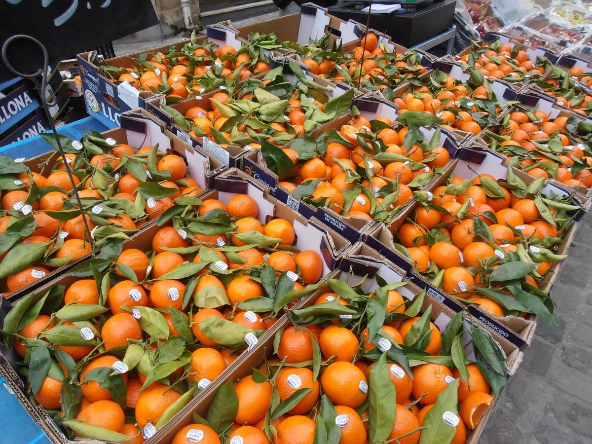 Green onion knife and salad placed