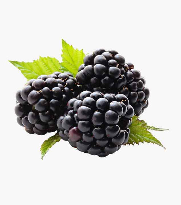 Healthy papaya 100% organic