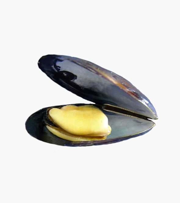 Fresh mussel (500g)