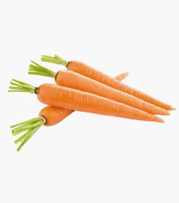 Fresh & healthy food